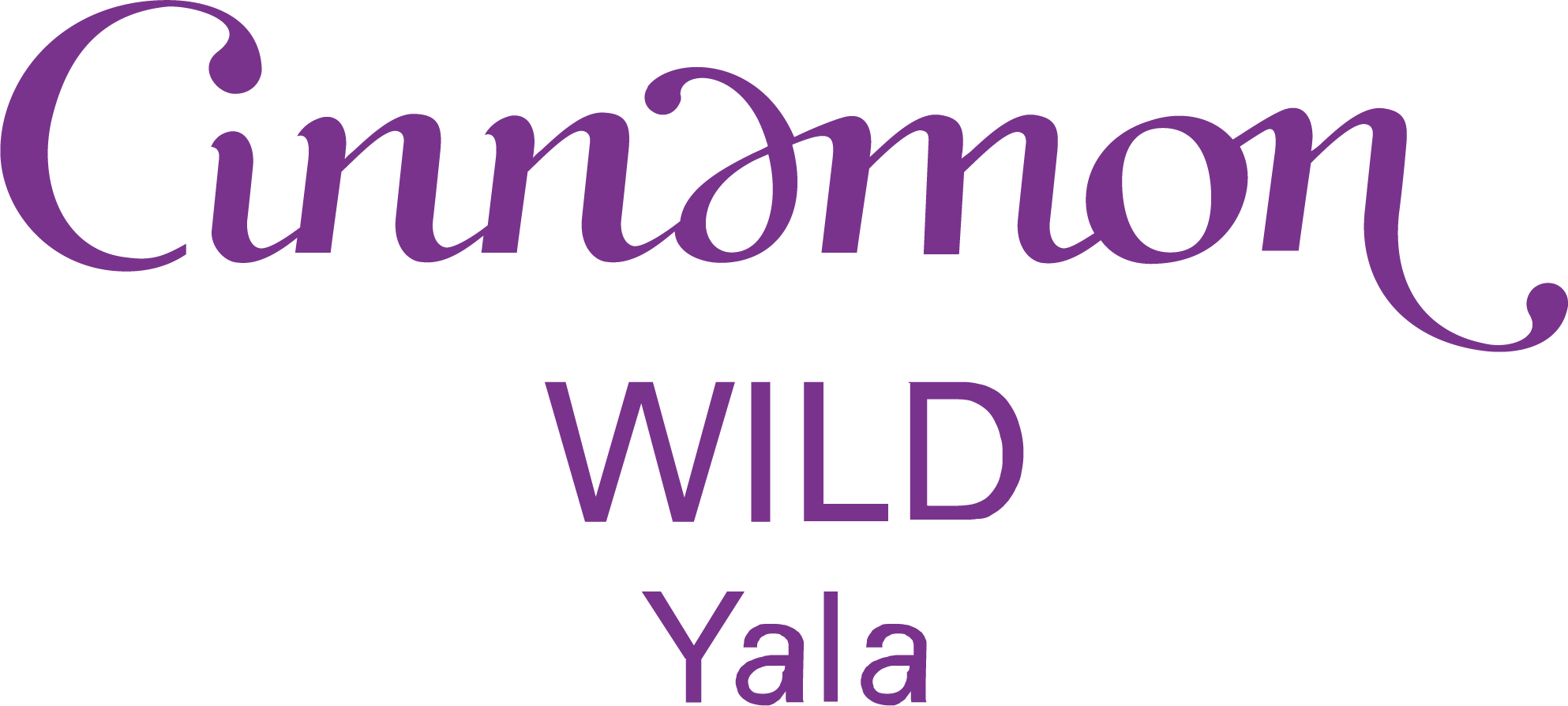 12 logo
