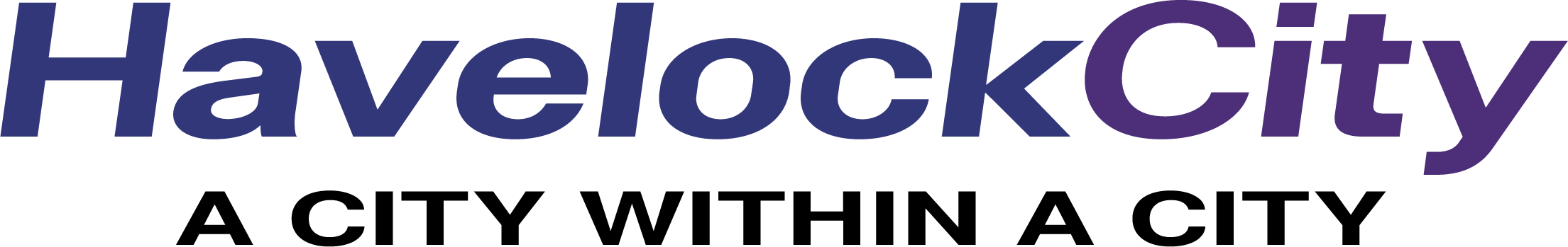 20 logo