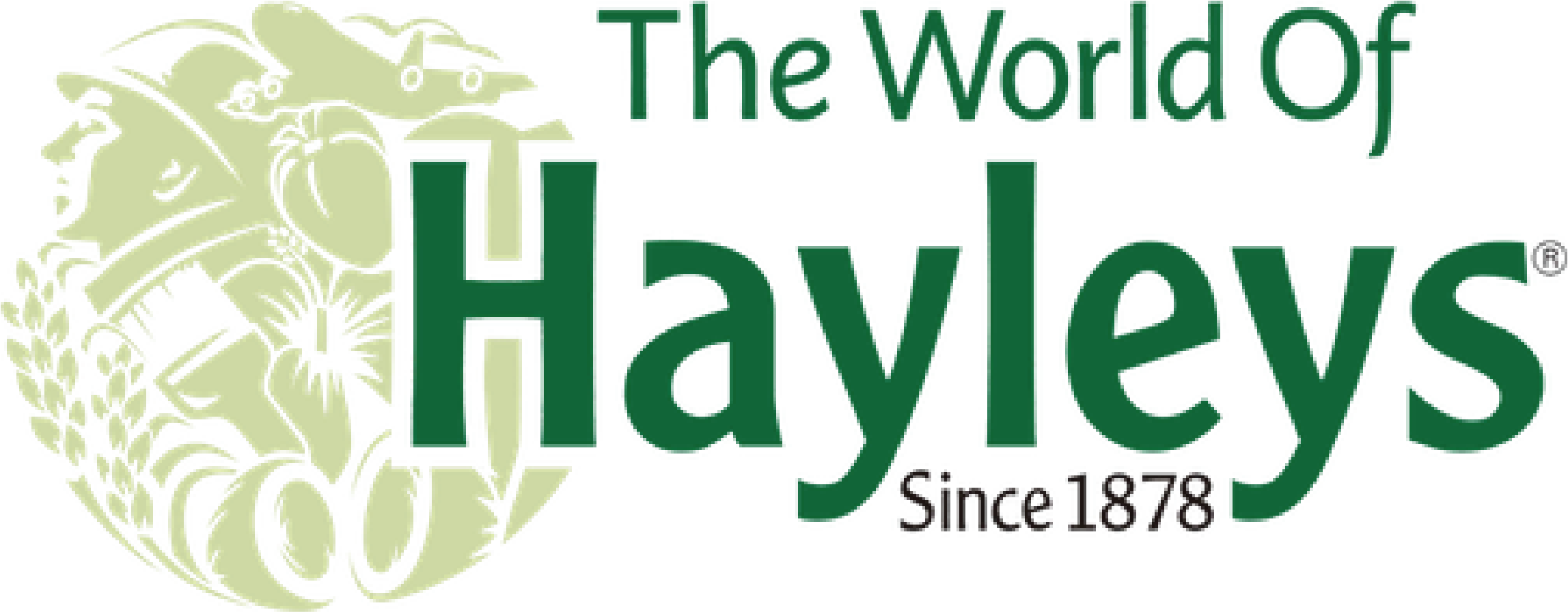 23 logo